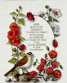 LadyBug Serenity Prayer