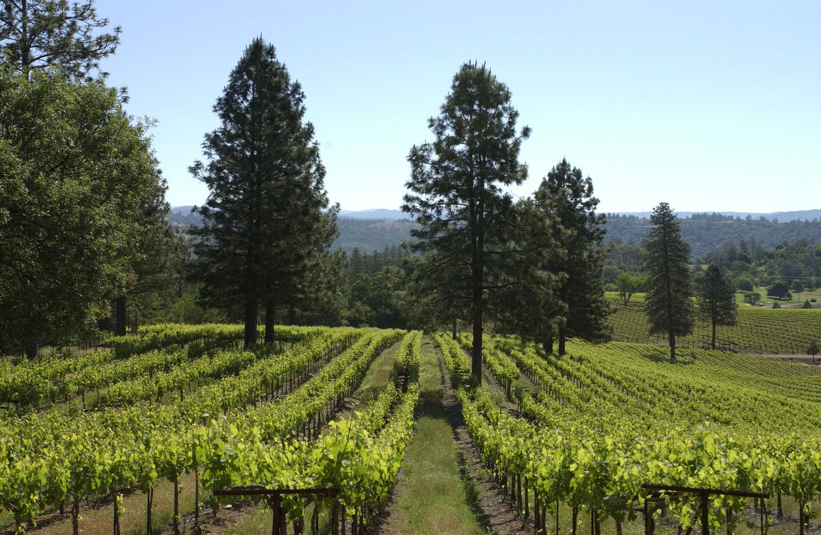 Mountain High Wines Ironstone Winery (Murphys/Calaveras County
