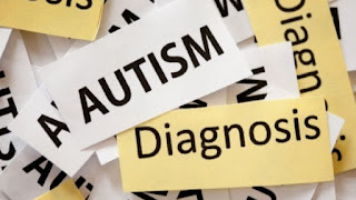 autism diagnosis onequartermama