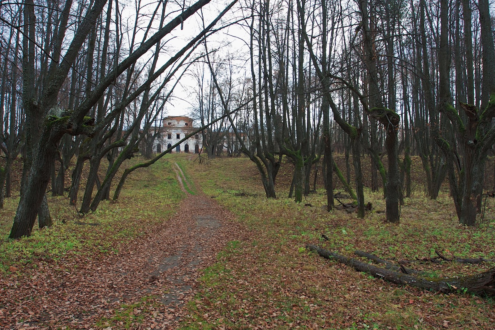 2011: Осень – Зима