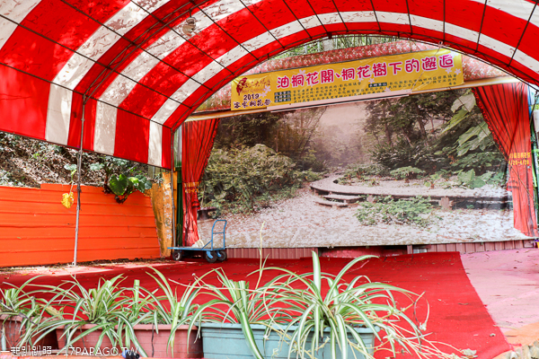 彰化市|福田賞桐生態園區|2019客家桐花祭4/20-4/28|賞桐平台|木棧道|桐花毯步道 彰化市|福田賞桐生態園區|2019客家桐花祭4/20-4/28|賞桐平台|木棧道|桐花毯步道