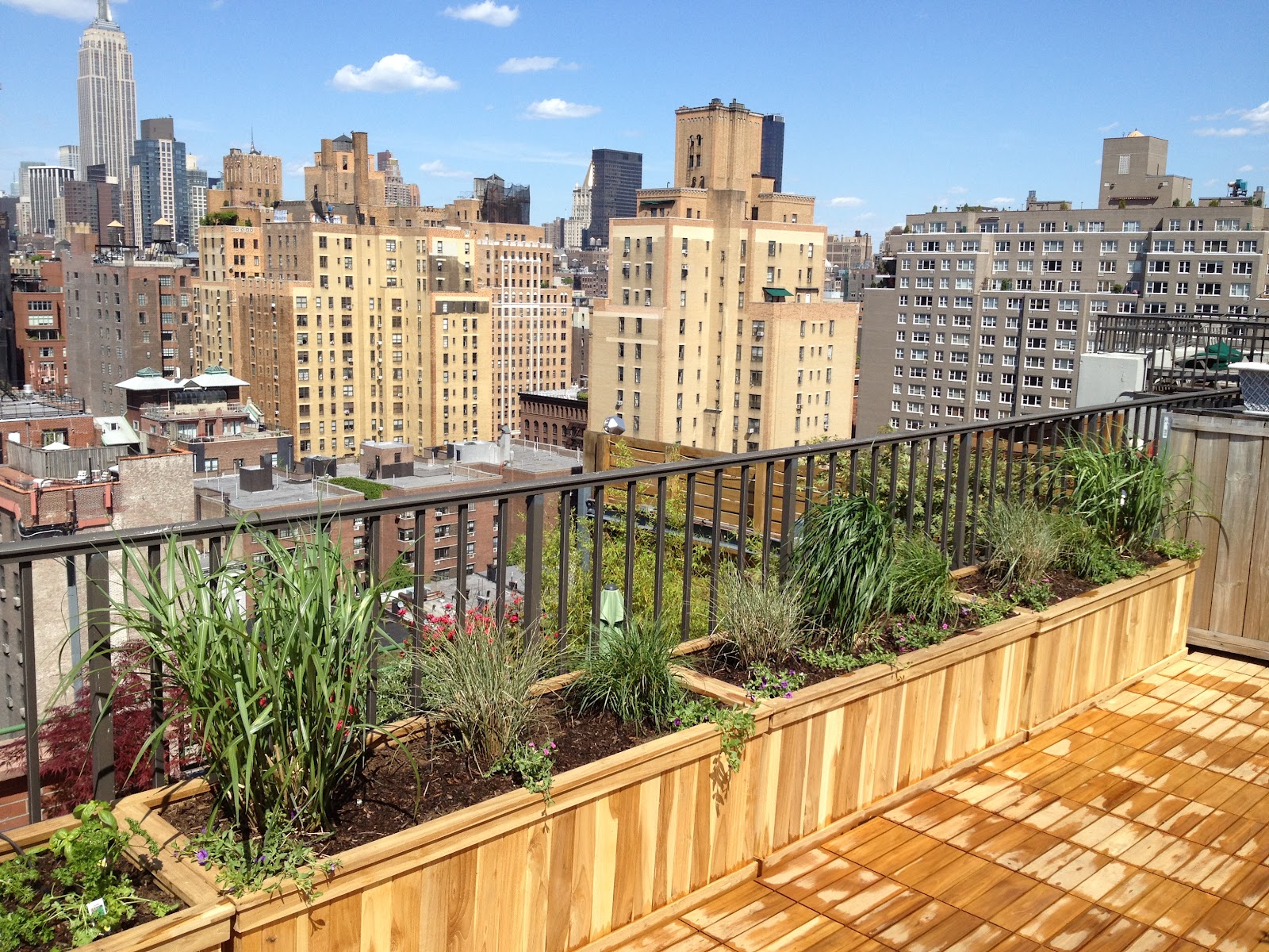 All Decked Out NYC: deck design