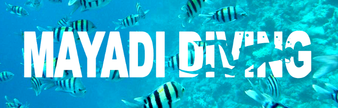 Mayadi Diving