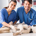 How To Choose The Best Veterinarian For Your Dogs
