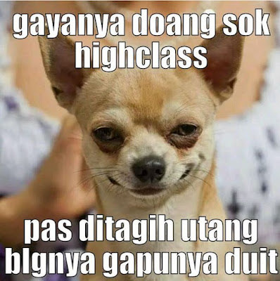 Gayanya doang sok highclass/lucu.me
