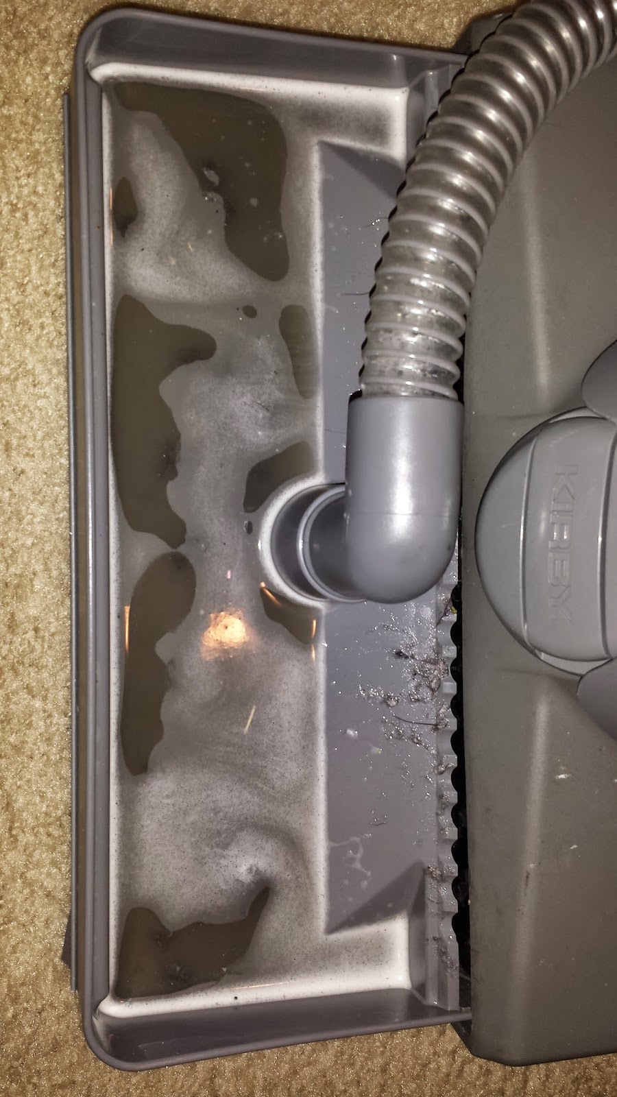 One Seriously Beautiful Life DIY Carpet Shampoo