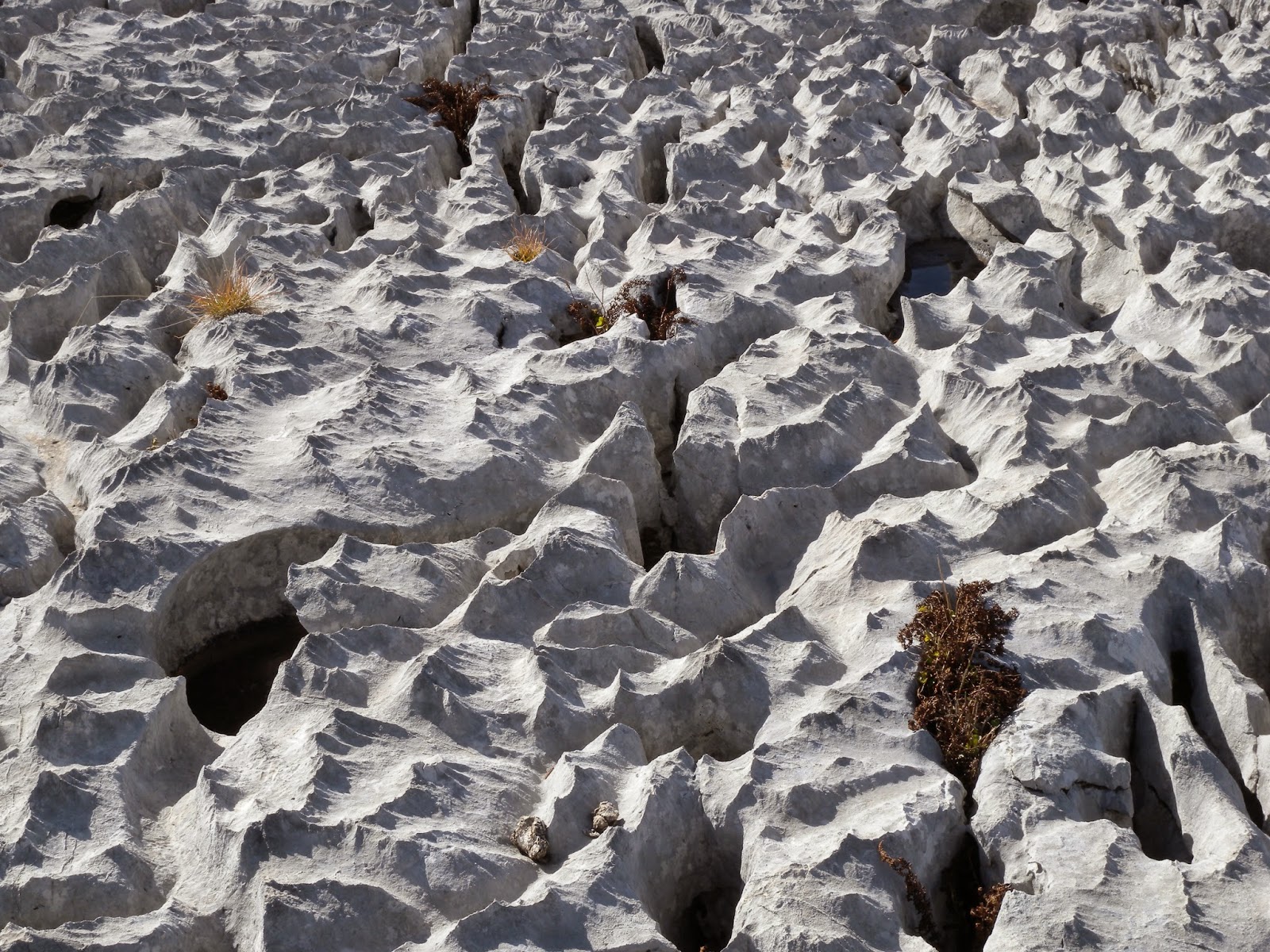 Geomorfología 4º: Relieves azonales