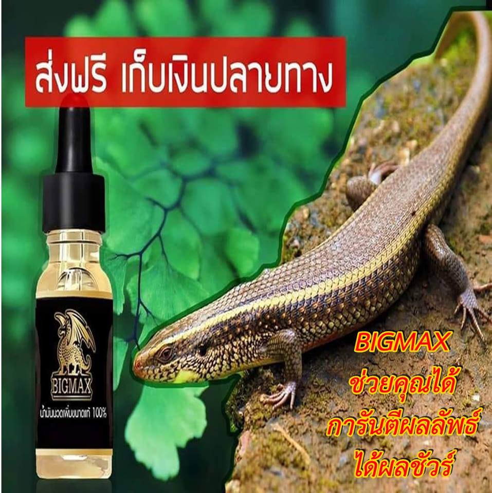 My Image 16