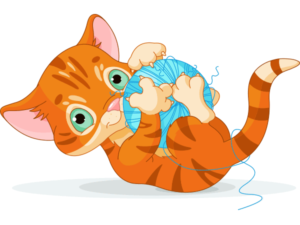 Playful Cat