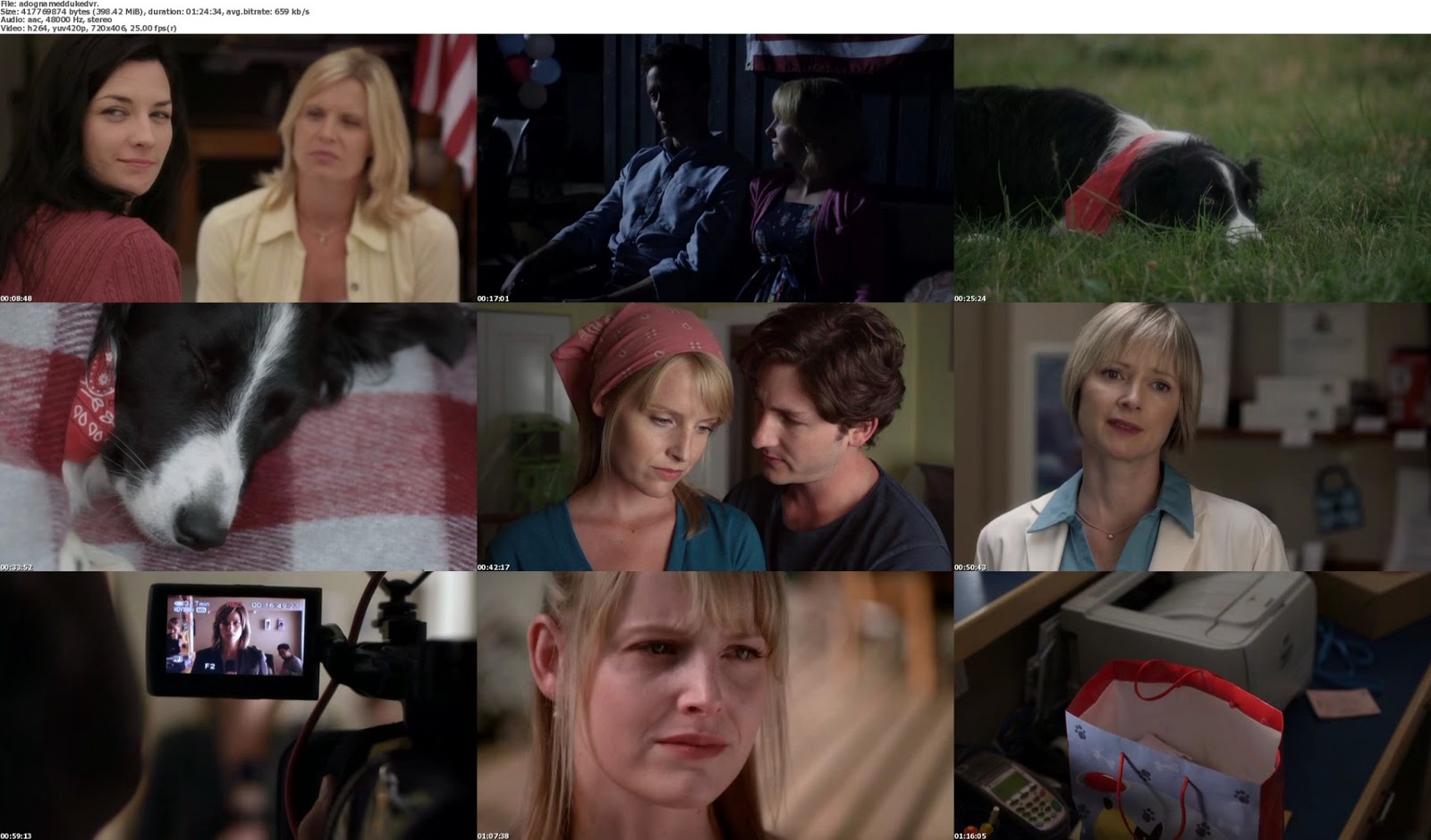 Download Free Movies A Dog Named Duke 2012 DVDRip 400MB download-free-movies-a-dog-named-duke-2012-dvdrip-400mb