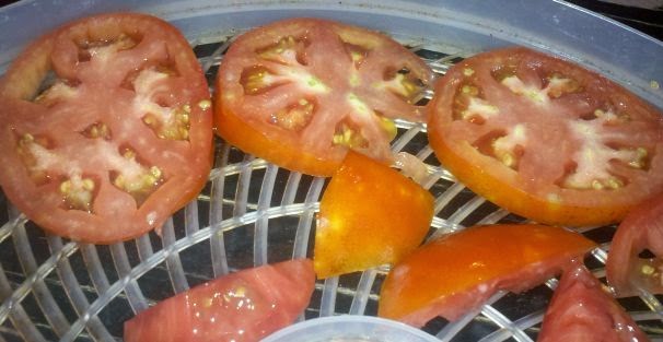 How to make sun dried tomatoes at home, can you dehydrate tomatoes, how to dehydrate tomatoes