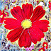 Look at a flower as if your whole existence depends on this look.