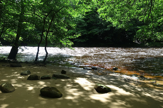 beach on the River Ure!