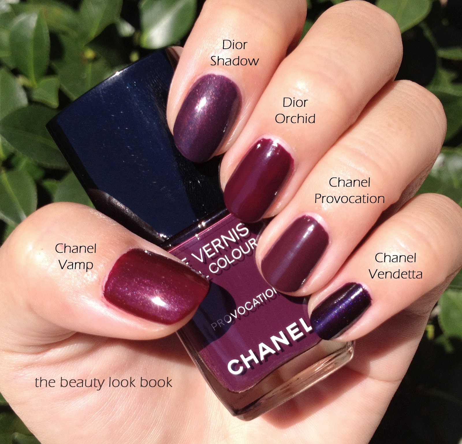 Chanel Provocation Le Vernis - The Beauty Look Book