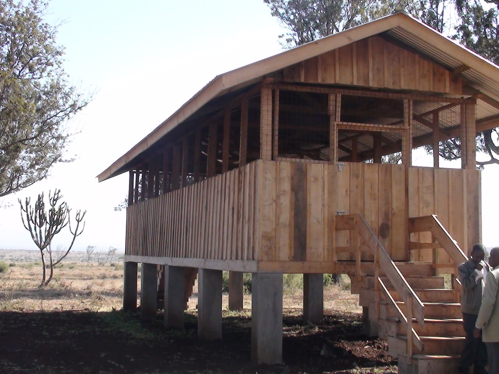 Banzi wa Moro: Banda bora la mbuzi