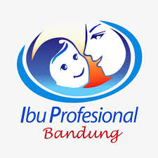 Institut Ibu Profesional