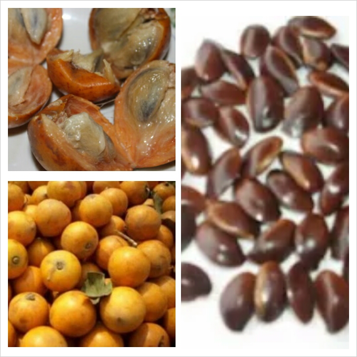 TEE NATUREL Health benefits of African star apple (Agbalumo)