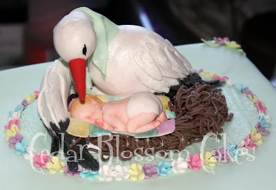 The other cake was for a baby shower. The baby I made using the ...