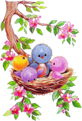 bird birds animated gifs glitter graphics nest 3d uploaded hello belle category aunt way mary glig children animals clipart adult
