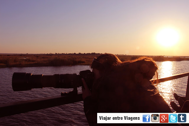 Safari no PARQUE NACIONAL DO CHOBE, um paraíso selvagem do jipe e do barco | Botswana