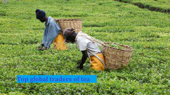 top global traders of tea top global traders of tea