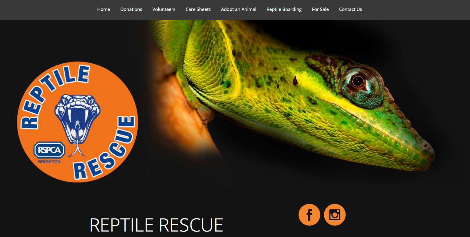 reptile websites