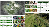Regenerative Landscape Design - Online Interactive Course