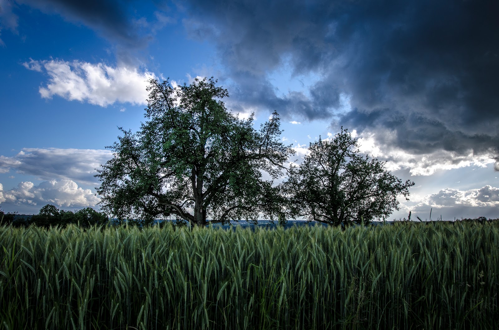 TageBilder: Juni Wetter TageBilder: Juni Wetter