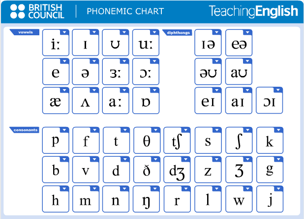 Phonemic chart