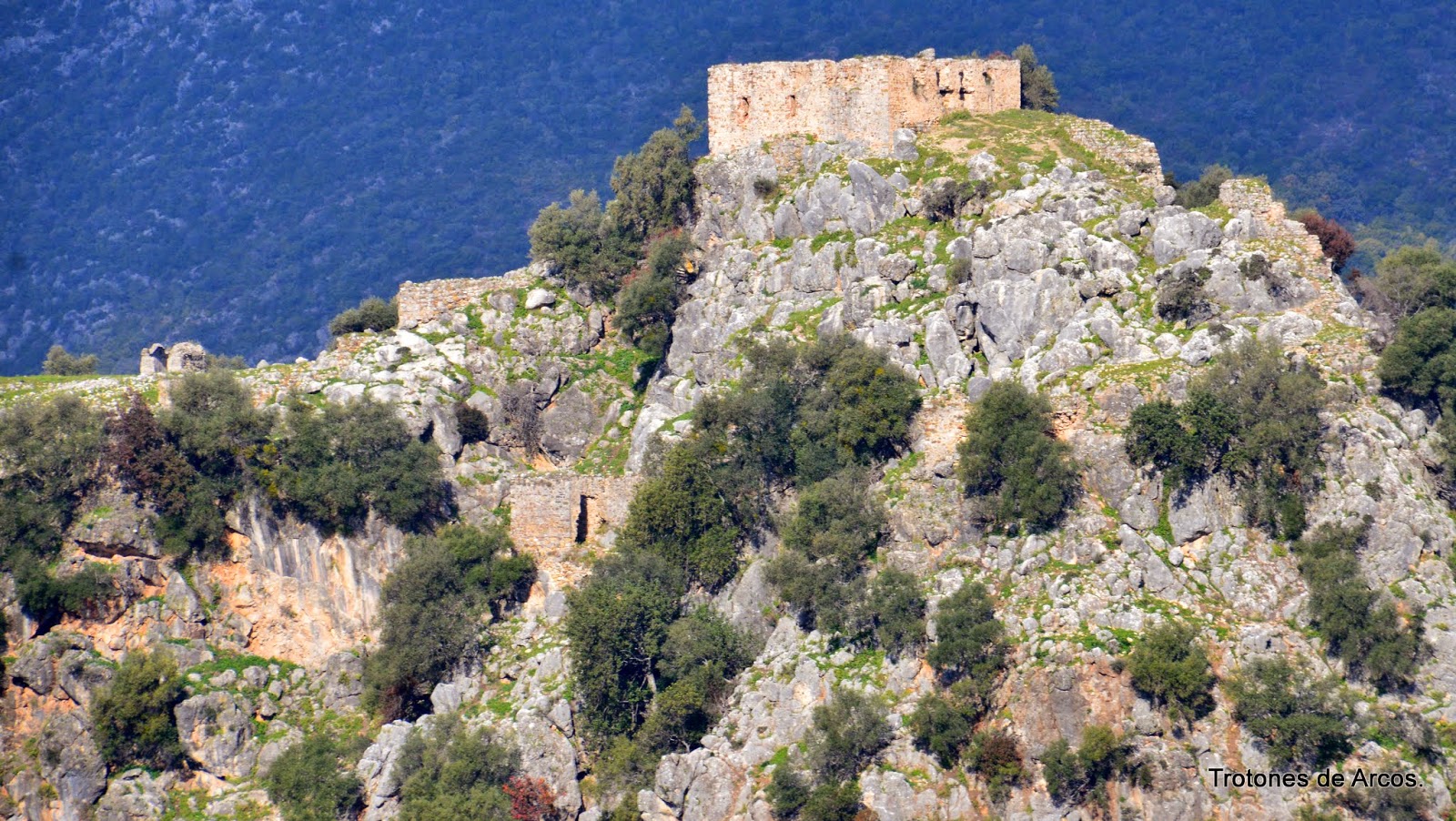 Foto de Castillo de Tavizna en Benaocaz, Cádiz