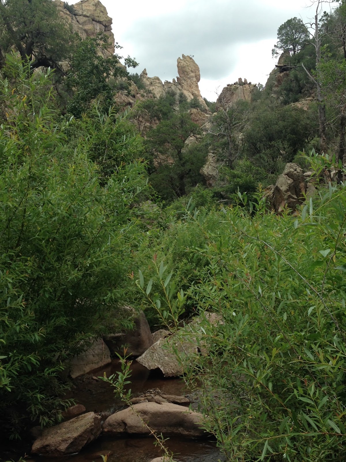 Southern New Mexico Explorer Gallinas Creek Gila National Forest