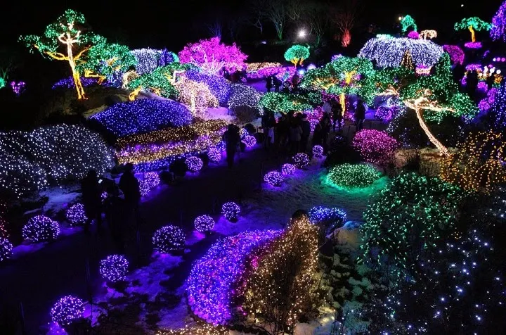 South Korea Festival Lighting Show