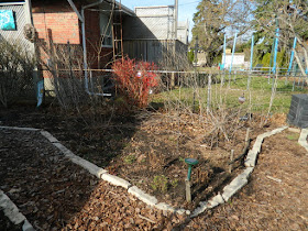 Etobicoke Toronto spring garden cleanup before by Paul Jung Gardening Services