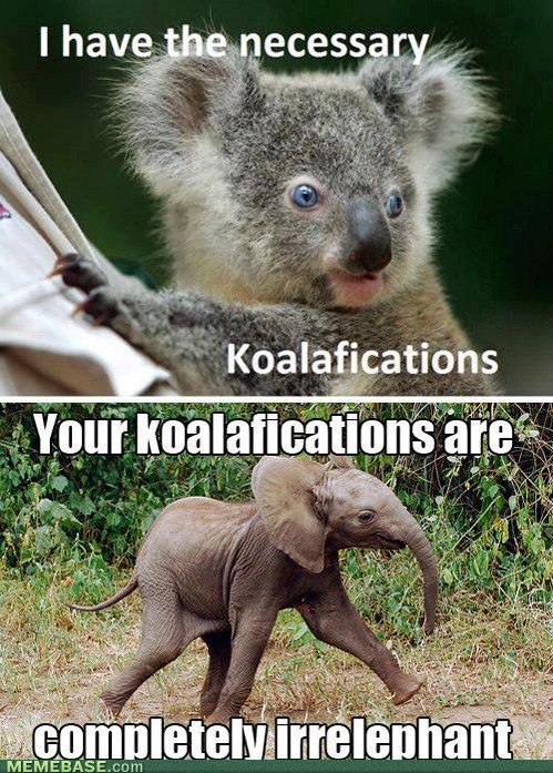 koalafications-are-irrelephant.jpg