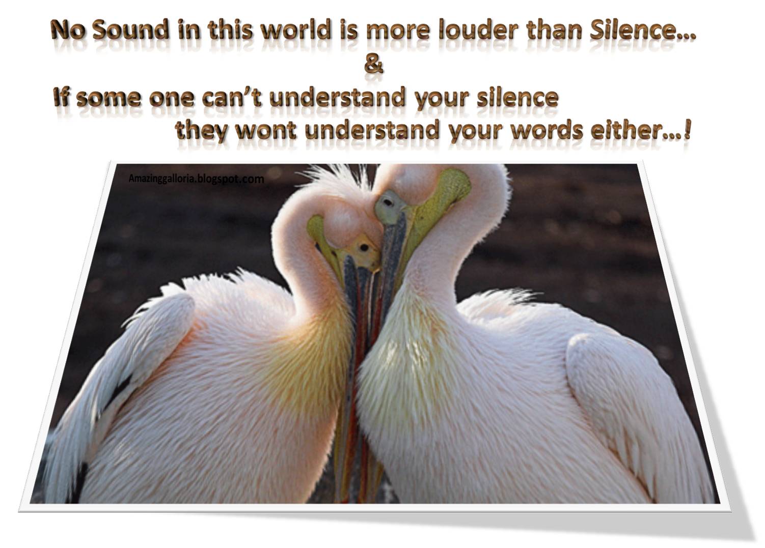 Amazing Galloria Birds Messages