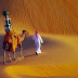 (Video) Google befason sërish: filmon mbi gamile shkretëtirën e Emirateve të Bashkuara Arabe