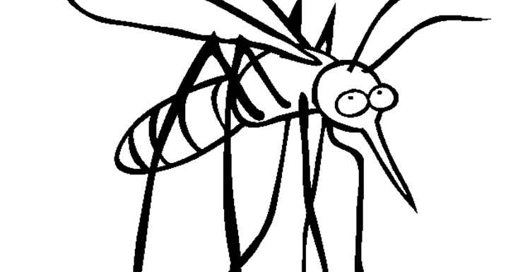 Lukisan Poster Nyamuk Aedes Cikimm Com