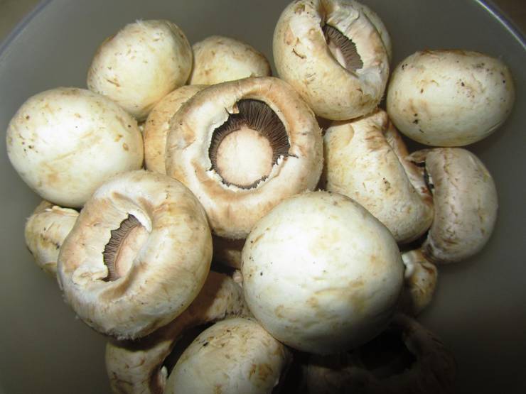 Отзыв про Шампиньоны: "Очень вкусные грибы, с которыми можно приготовить много б