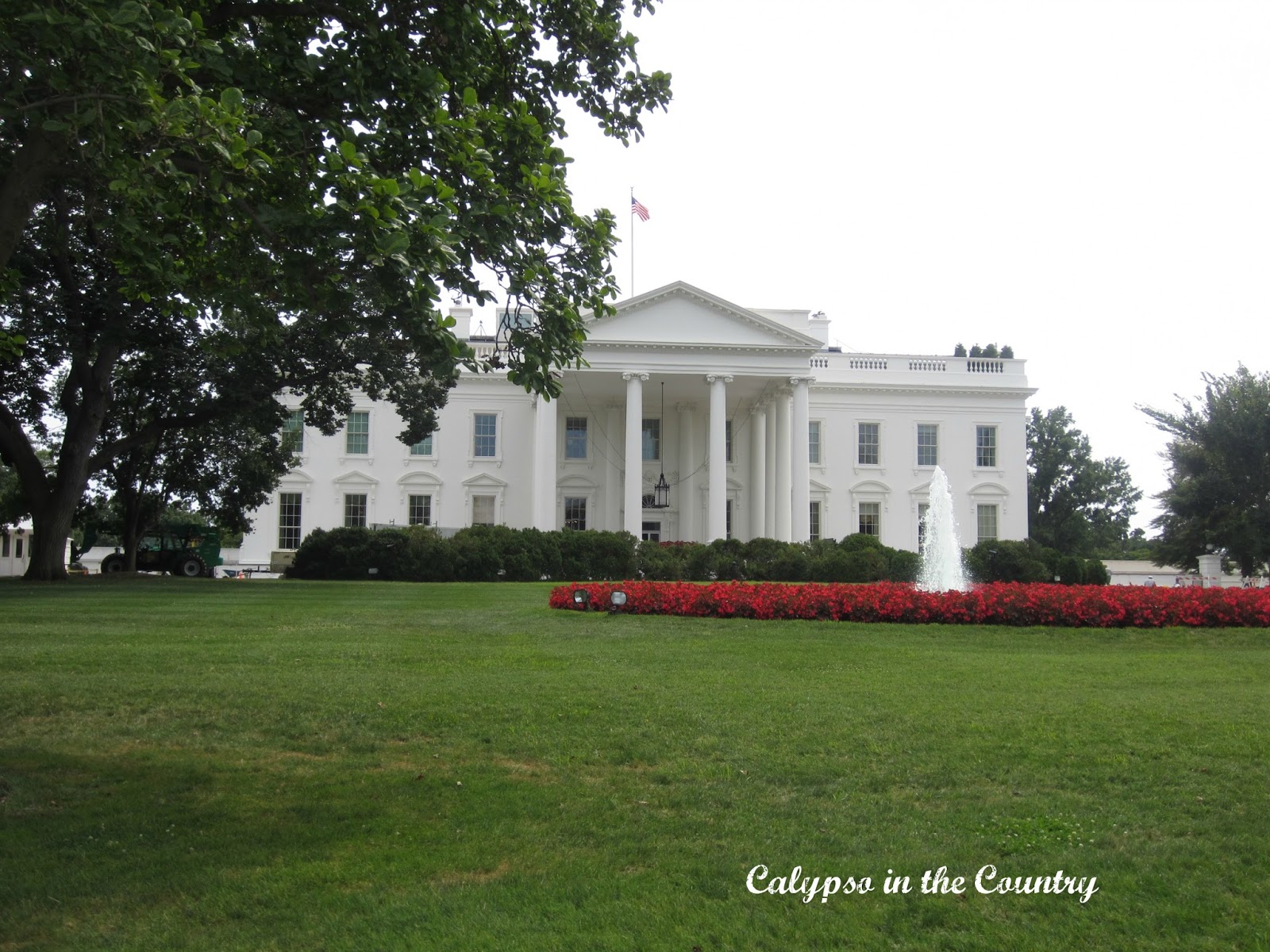 White House White House and other attractions in DC to see with kids