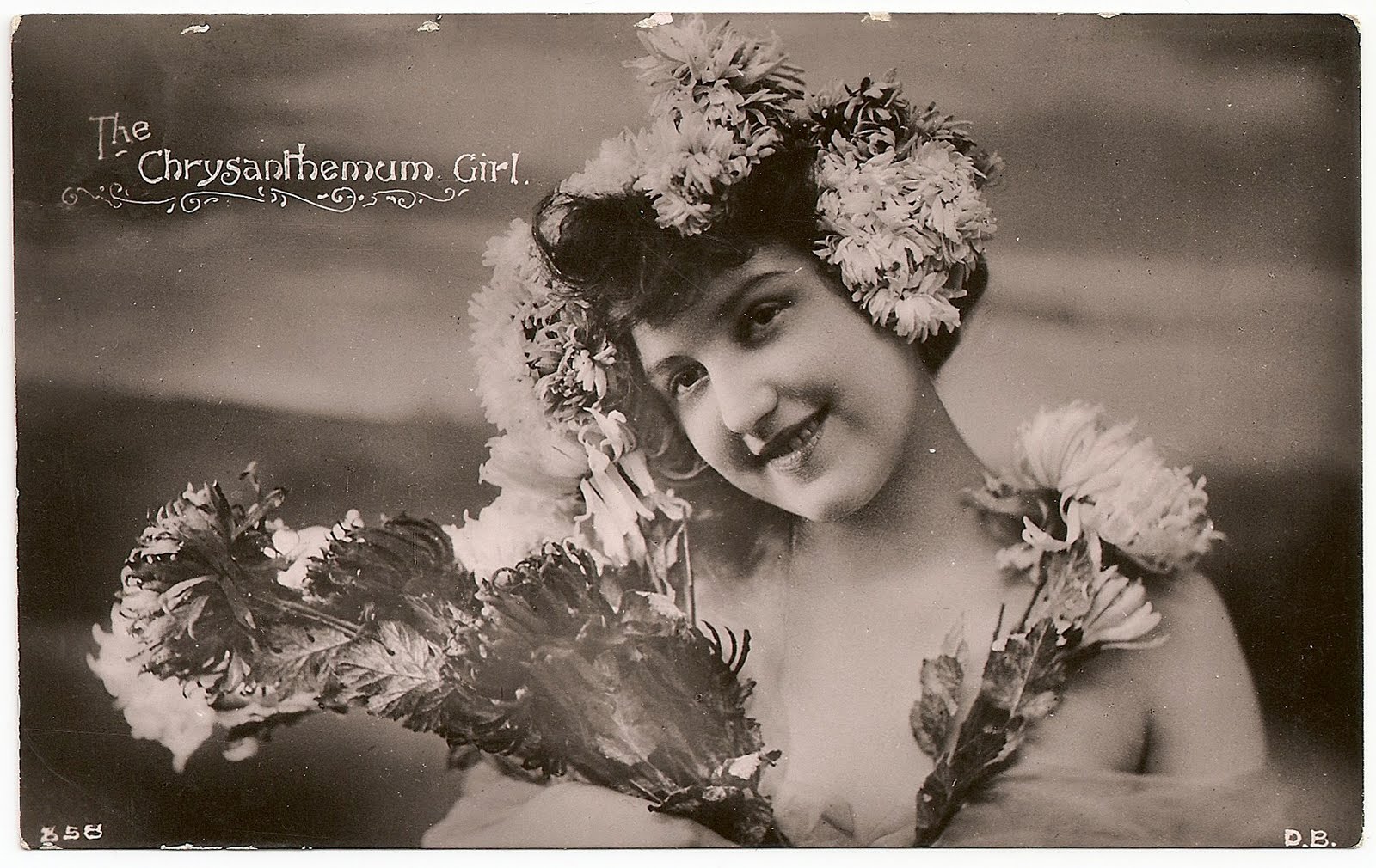 Archive The Chrysanthemum Girl