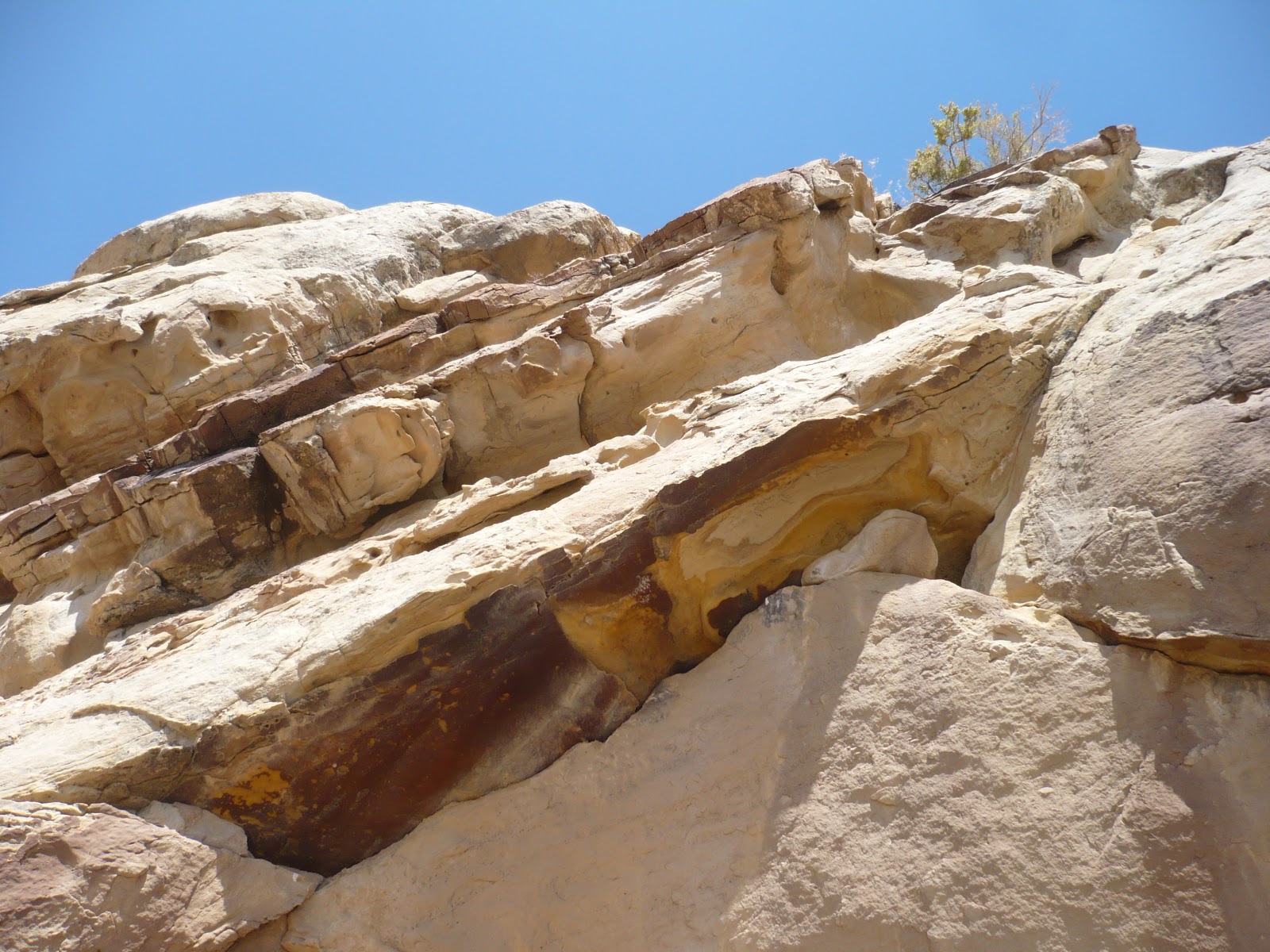 2dodges2go: 8/27/12 - Dinosaur NM