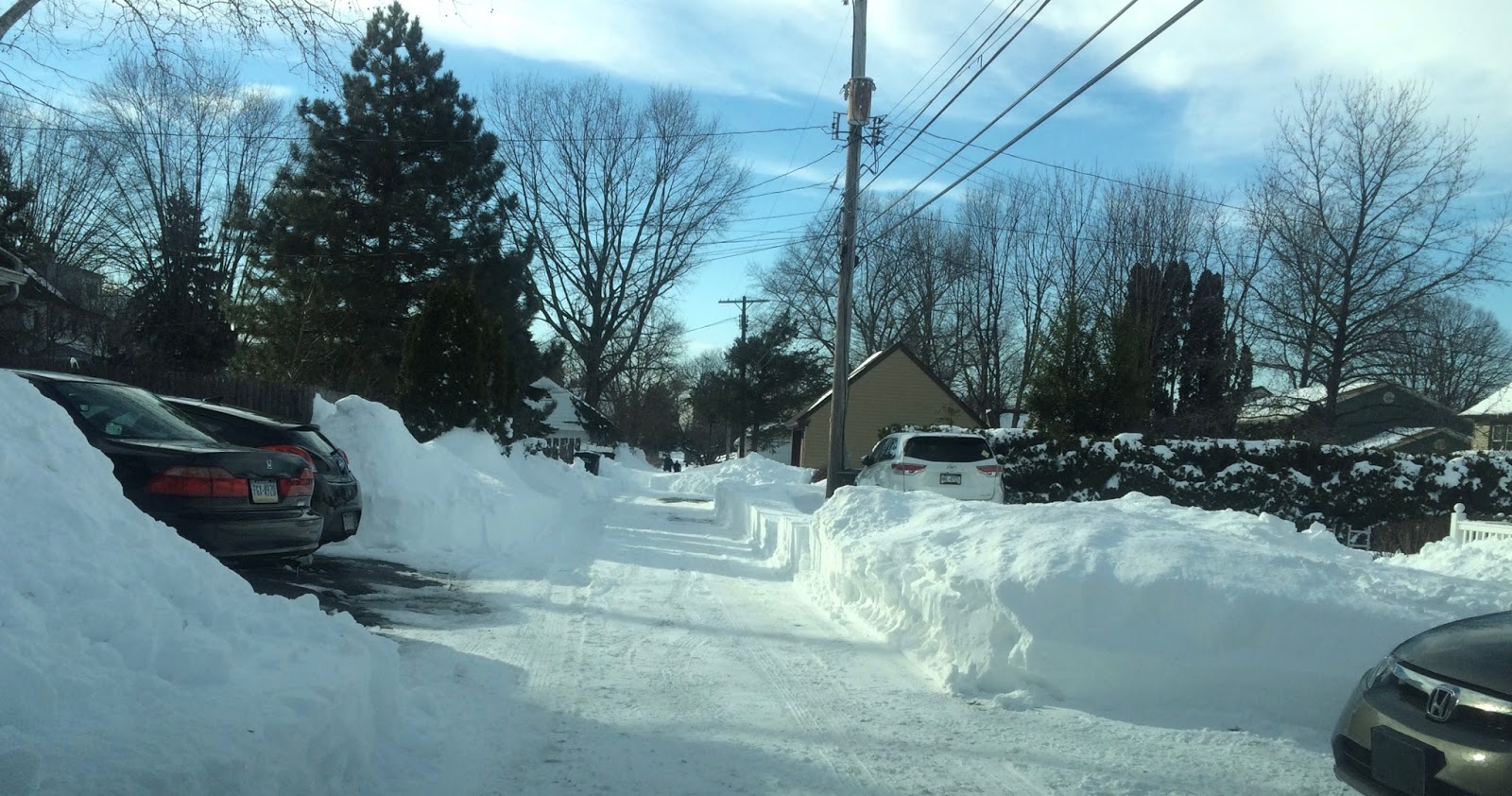 Coatesville Dems January 2016