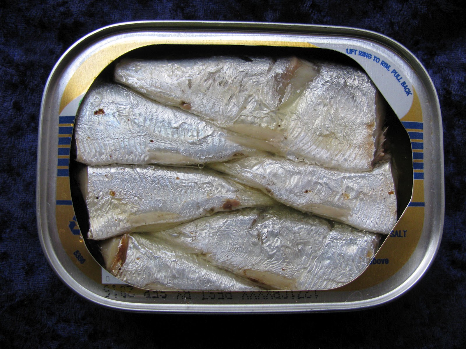 Mouth Full of Sardines BRUNSWICK 49