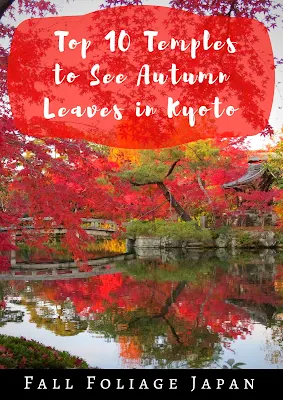 Kyoto Fall Foliage