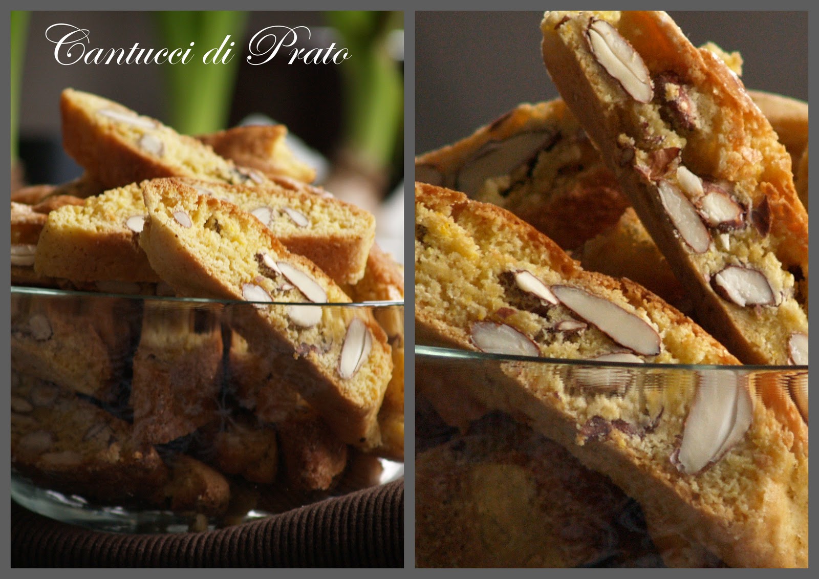 Italian's wife Cantucci di Prato
