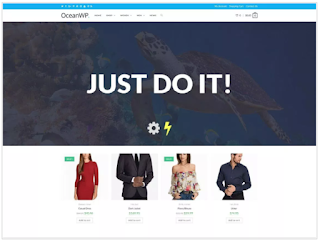 OceanWP Theme of top 10 free wordpress themes