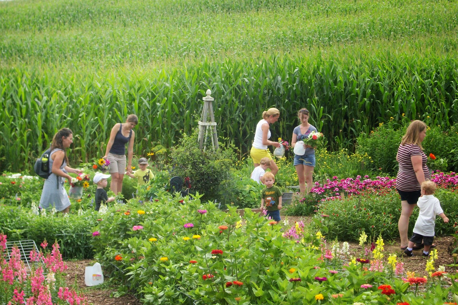 A different kind of flower farm