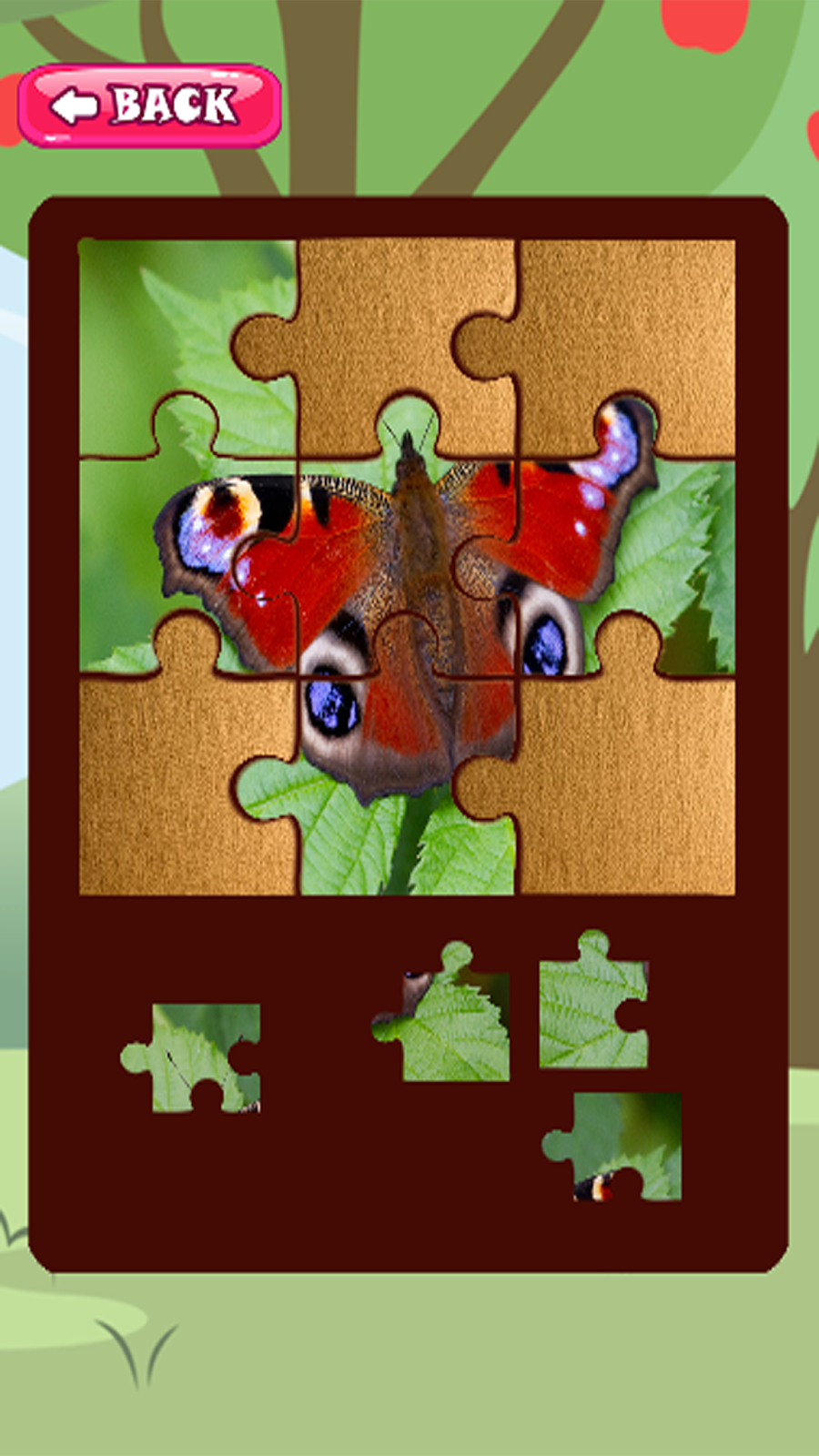 Kids Jigsaw Puzzles For Kids Butterfly Game