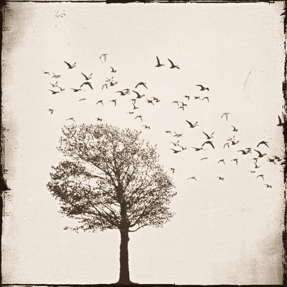 Wo Stille Wohnt Und Glanz Januar 2017