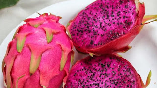 Makanan Penambah Trombosit Yang Wajib Anda Ketahui!